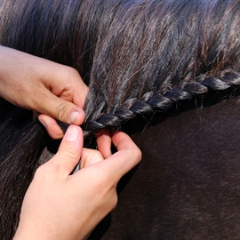 Nathalie Strong Hold Plait - 250 ml.